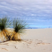 White Sands 12